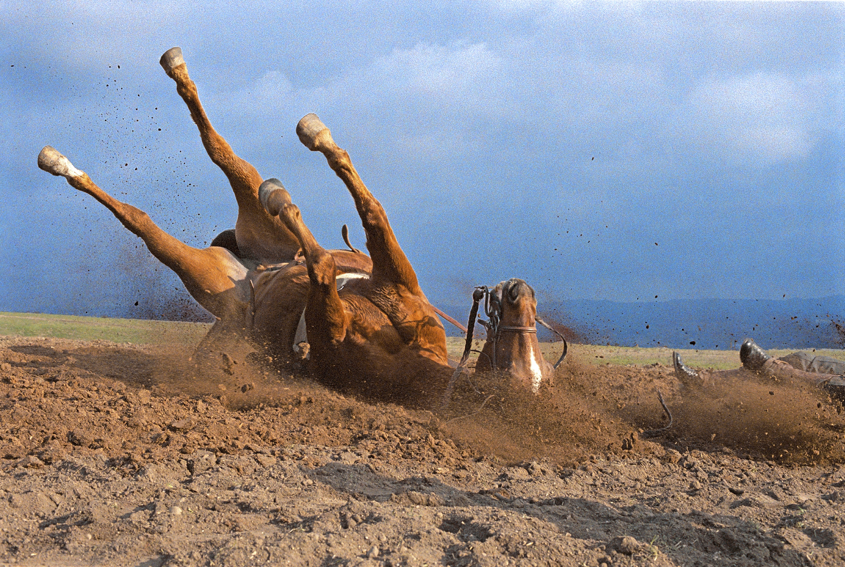 Photo by Laura Wilson