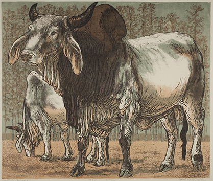 Southern Import, 1953 by Janet Turner (American, 1914-1988)